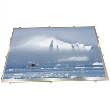 10,1 inčni LQ101K1LY04 TFT LCD zaslon